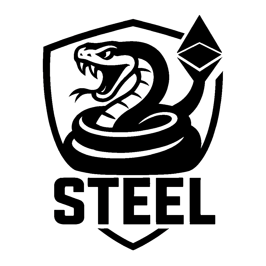 STEEL Logo